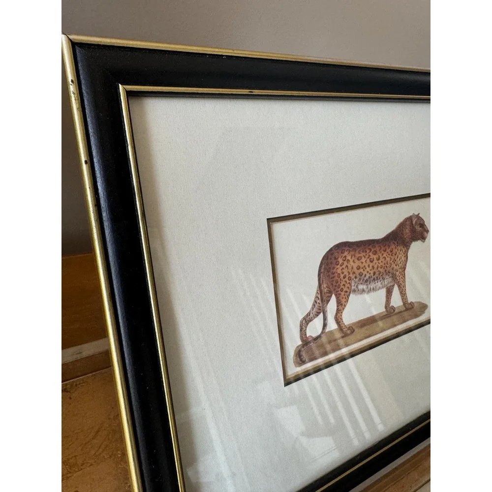 Vintage Black and Gold Animal Leopard Print Framed 12 x 10
